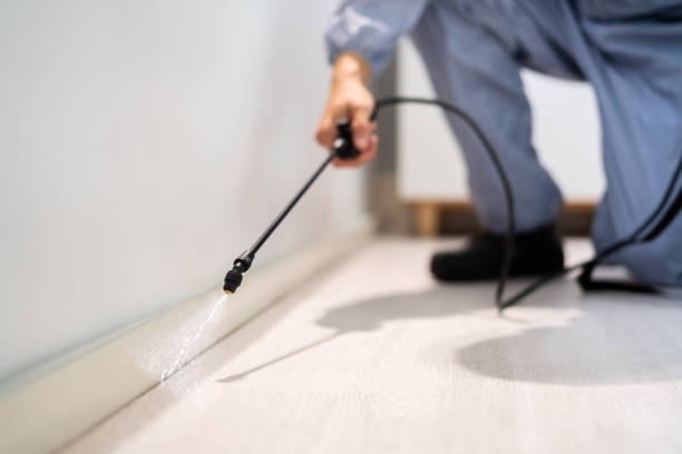 Licensed Termite Control service in Sutter Creek, CA - Nex Pest Control