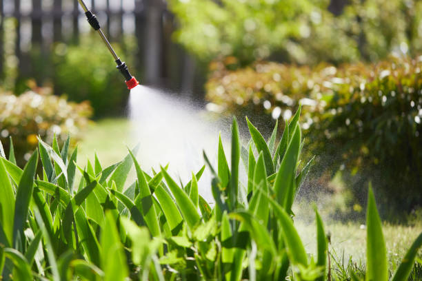 24/7 Emergency Termite Control experts in Sutter Creek, CA
